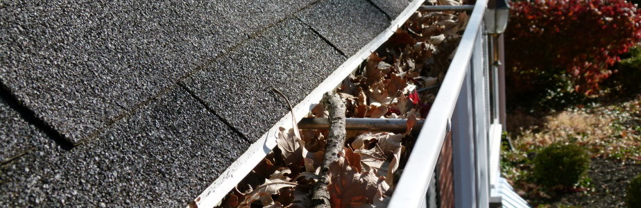 clogedgutters-e1434718158595